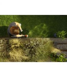 Skil Ножницы для травы аккумуляторные 0630 CA 20В акб 1х2.5А·ч + насадка кусторез 20см шаг реза 8мм 1кг