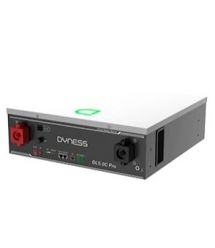 Литиевая аккумуляторная батарея 99-10035251