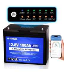 Аккумуляторная батарея LiFePO4 DC HOUSE 12.8V 100Ah Bluetooth
