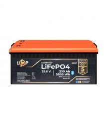 Акумулятор Logicpower LP LiFePO4 25,6V - 230 Ah (5888Wh) (BMS 200A/100А) пластик Smart BT