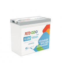 Акумуляторна батарея LiFePO4 Redodo 12.8V 100Ah , 1280Wh, BMS 100A, Mini, &ampge4000 циклів, 329*172*214мм