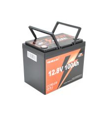 Акумуляторна батарея YEAGULCH Mini LiFePO4 12,8V 100Ah 1280Wh, BMS-100A, ( 246 x 187 x 197) , M8, 12.9kg Q1