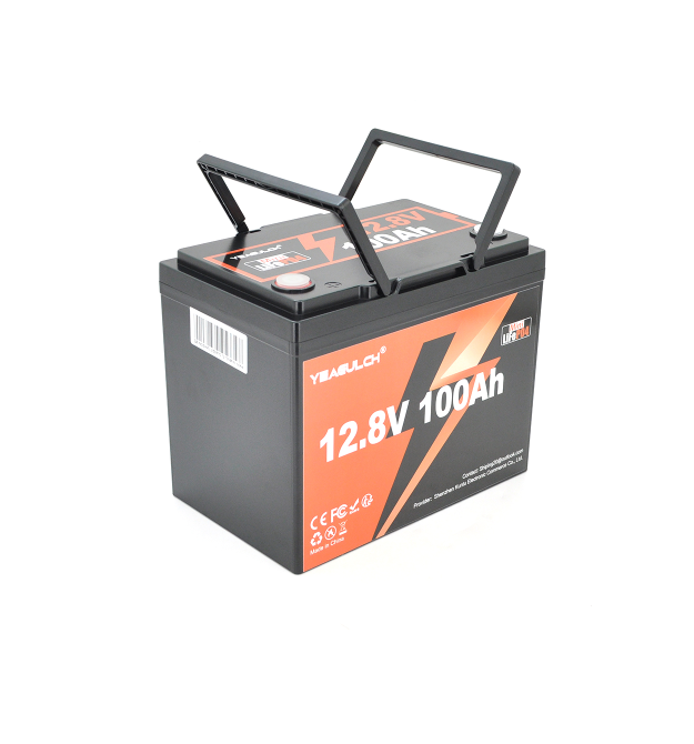 Акумуляторна батарея YEAGULCH Mini LiFePO4 12,8V 100Ah 1280Wh, BMS-100A, ( 246 x 187 x 197) , M8, 12.9kg Q1