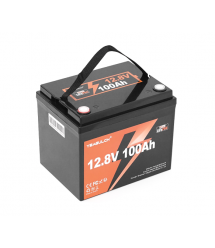 Акумуляторна батарея YEAGULCH Mini Max LiFePO4 12,8V 100Ah 1280Wh, BMS-100A, ( 299 x 193 x 200) , M8, 12.9kg Q1