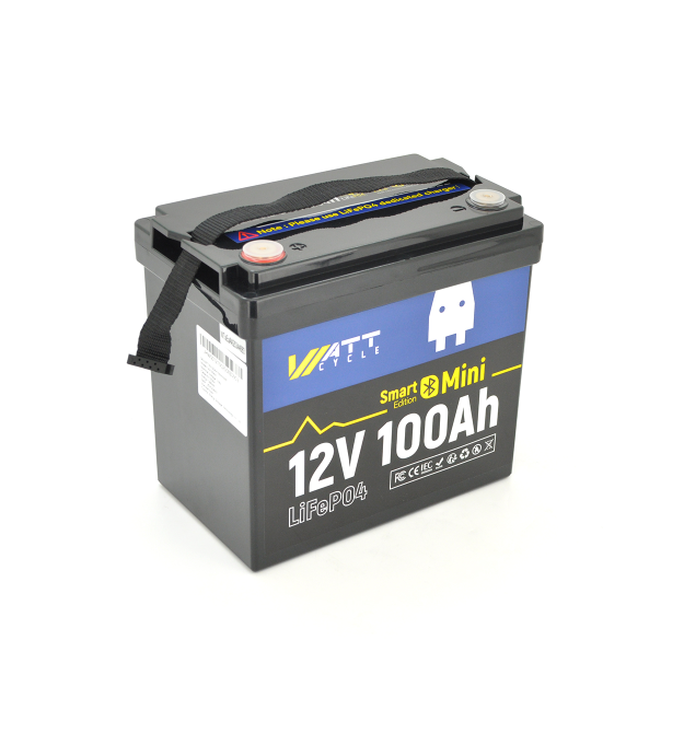 Аккумуляторная батарея WattCycle LiFePO4 WT12V100AH100MINIBT Bluetooth 12,8V 100Ah, 1,28kWh, BMS50A@4S, 6000 cycles, 229x138x208