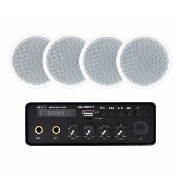 Акустический комплект SKY SOUND SMS-3104