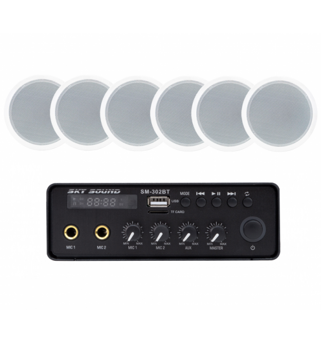 Акустический комплект SKY SOUND SMS-3106