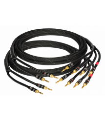 Кабель GOLDKABEL edition ORCHESTRA Bi-Wire 2x2,0м