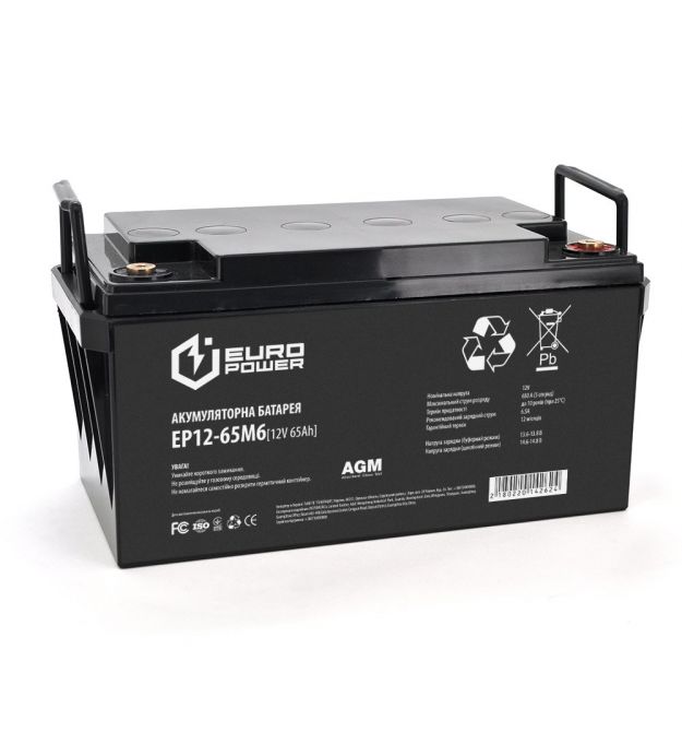Аккумуляторная батарея EUROPOWER AGM EP12-65M6 12 V 65Ah ( 350 x 165 x 174) Black Q1