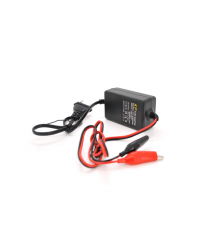 Імпульсне ЗУ для акумуляторів Merlion, 6V, YS-0602, 100-240V, 2A, клемми (AGM, GEL, Lead)
