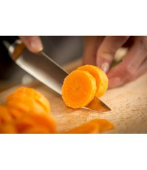 Tefal Нож универсальный Ice Force 11 см