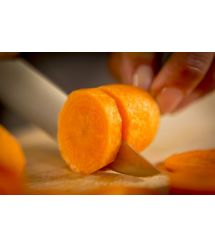 Tefal Нож универсальный Ice Force 11 см