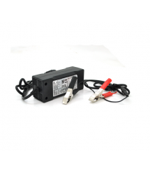 Зарядний пристрій Merlion для акумуляторів LiFePO4 12V(14,6V),4S,5A-60W + крокодили,BOX