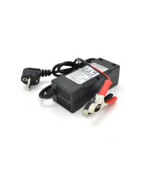 Зарядное устройство для Merlion для аккумуляторов LiFePO4 12V(14,6V),4S,10A-120W + крокодилы