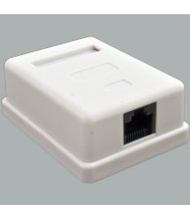 Розетка Kingda 1хRJ45 UTP, белая