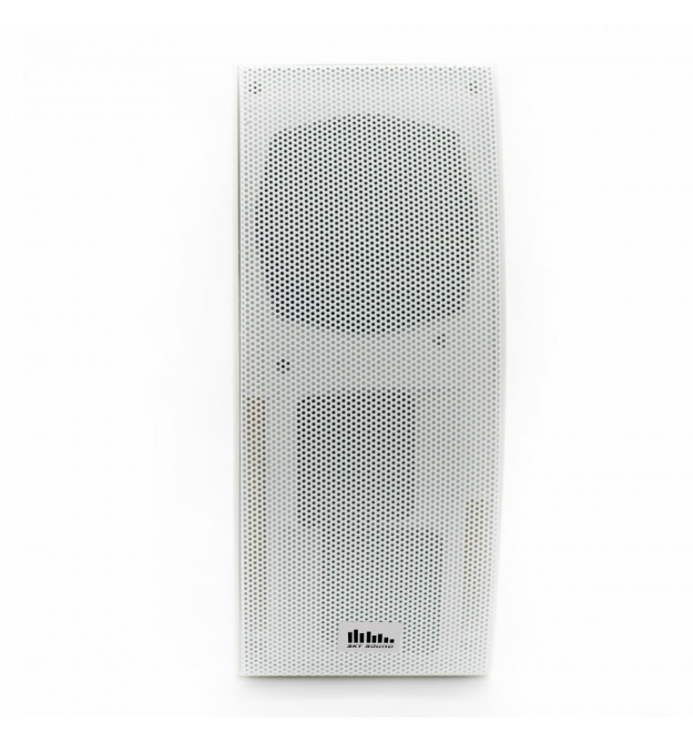 Настенная акустика SKY SOUND PM-5000TW