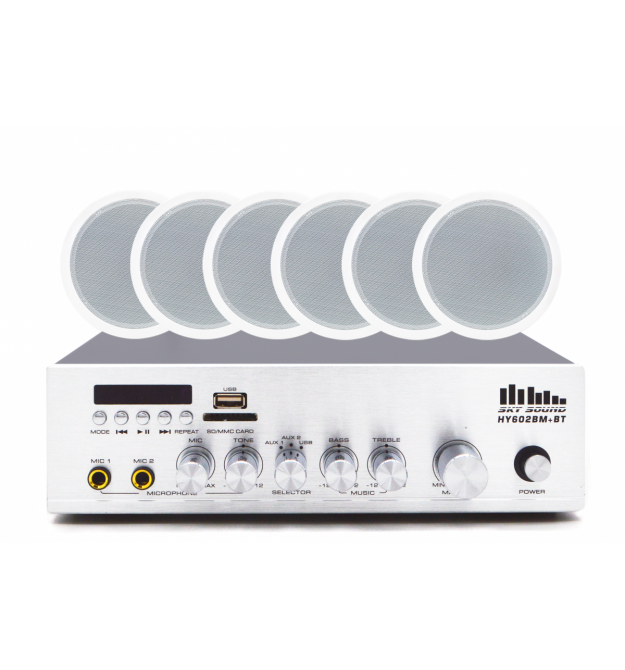 Акустический комплект SKY SOUND CSY-3106