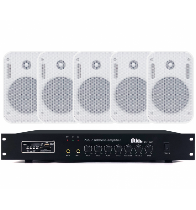Акустический комплект SKY SOUND WS-2405