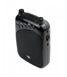 Громкоговоритель для гида SKY SOUND GID-35W (MP3,FM,Bluetooth)