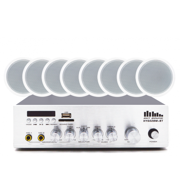 Акустический комплект SKY SOUND CSY-3008