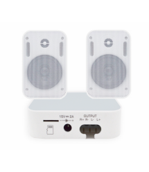 Акустический комплект SKY SOUND WIFI BOX-1024