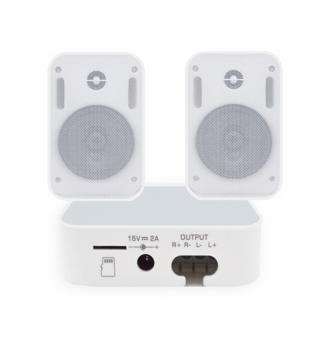 Акустический комплект SKY SOUND WIFI BOX-1024