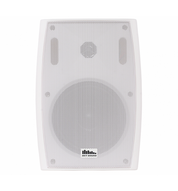 Настенная акустика SKY SOUND LS-45W-TW