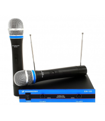 Радиомикрофон SKY SOUND EW100