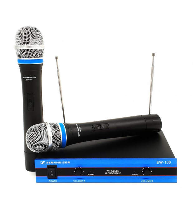 Радиомикрофон SKY SOUND EW100