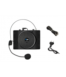 Громкоговоритель для гида SKY SOUND GID-25W (MP3,FM)