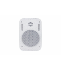 Настенная акустика SKY SOUND PM-1401W-TW