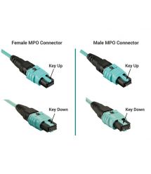 Патчкорд 8 волокон MPOF-UPC(Key Up)-MPOF-UPC(Key Up) MM (G50-OM3) 30м