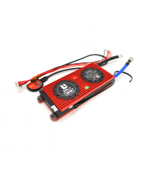 BMS smart плата DaLy LiFePO4 12V 4S 100A симметрия с Bluetooth