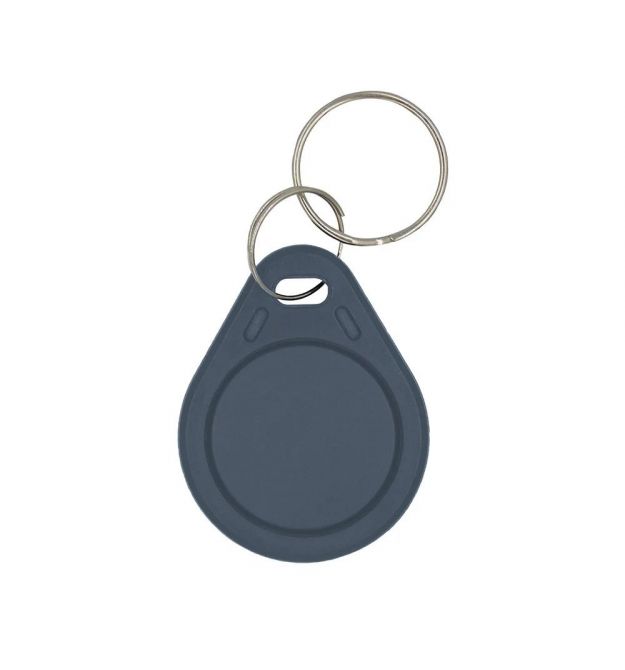 Ключ Proxymity-key EM GRAY