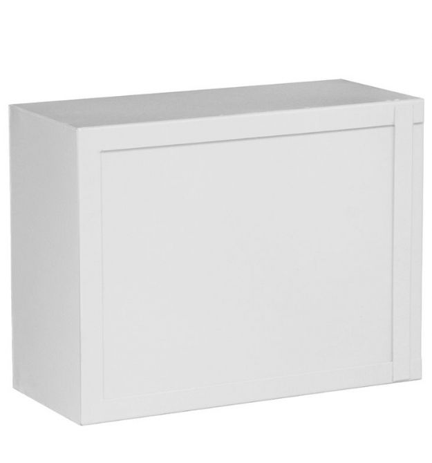 антивандальный ящик с планкой IPCOM БК-400-1