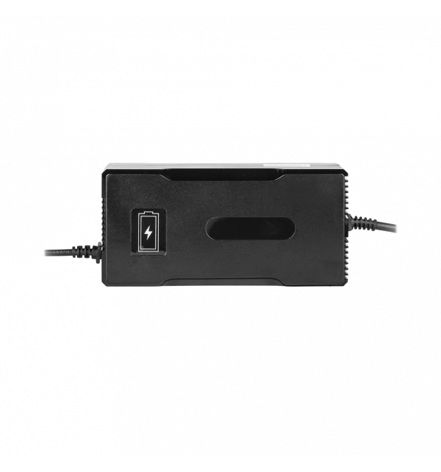 Зарядний пристрій для акумуляторів LiFePO4 24V (29.2V)-7A-168W-C13