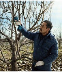 Секатор акумуляторний Bosch Pro Pruner SOLO, 12В, 3.0 Ач, до 25мм, 1кг