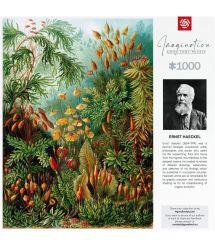 Пазл GoodLoot Imagination: Ernst Haeckel Muscinae Puzzles 1000 елементів