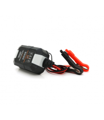 Автомобільне ЗУ BYGD, 6 - 12V, 220-240V, 1,5A, LED-індикація, клемми (AGM - GEL - Lead)