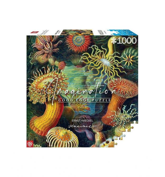 Пазл Imagination: Ernst Haeckel: Sea Anemones/Stworzenia morskie Puzzles 1000 эл. (5908305244943) Пазл Imagination: Ernst Haeckel: Sea Anemones/Stworzenia morskie Puzzles 1000 эл. (5908305244943)