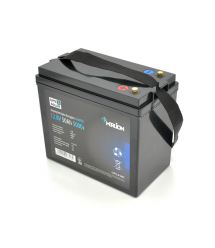 Літій-залізо-фосфатний акумулятор Merlion LiFePO4 12.8V 50AH (4S1P - BMS-50A), (229x138x205), до 5000 циклів