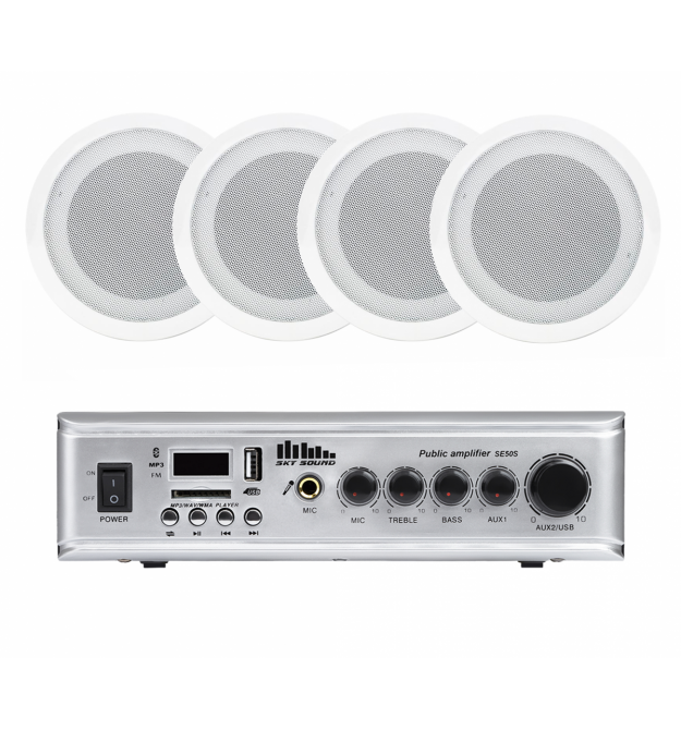 Акустический комплект SKY SOUND CSE-3004