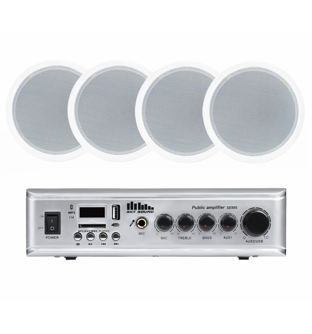 Акустический комплект SKY SOUND CSE-3104