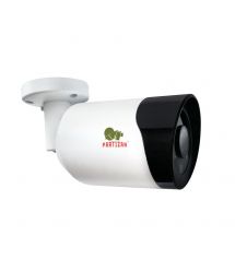 IP-камера 5.0MP Partizan IPO-5SP Full Colour 1.3 Cloud