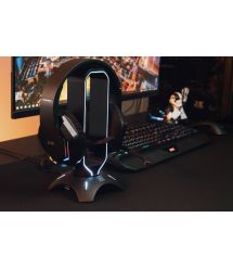 2E Gaming Гарнітура HG315 RGB USB 7.1 Black