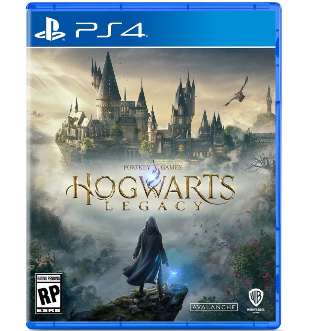 Гра консольна PS4 Hogwarts Legacy, BD диск (5051895413418)