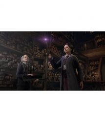 Игра консольная PS4 Hogwarts Legacy, BD диск (5051895413418)