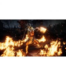 Игра Mortal Kombat 11 (Switch)