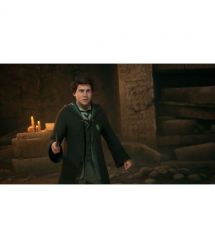 Игра PS5 Hogwarts Legacy [Blu-Ray диск]