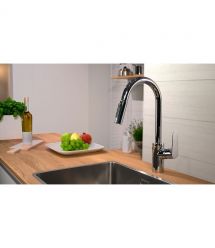 Hansgrohe Змішувач Focus для кухонної мийки 31815000